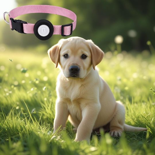 Le collier chien - WoofTracker™