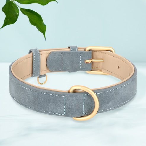 Le collier chien | PatteSafe