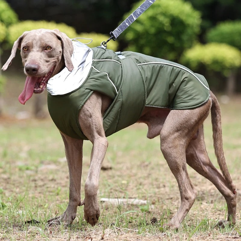 Manteau pour chien- Blizzardâą
