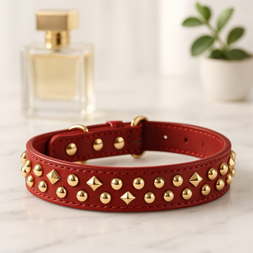 Le collier chien anti-morsure