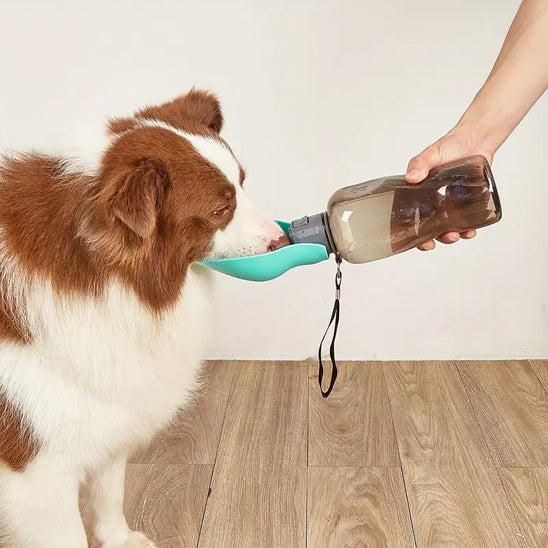 Gourde pour chien - DoggyDrinkâą