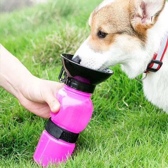 Gourde pour chien