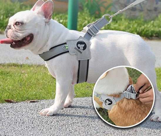 SmoothWalk™ : Le harnais chien anti traction