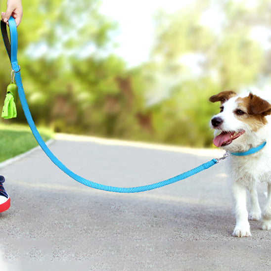La laisse pour chien - DoggyLeashâą