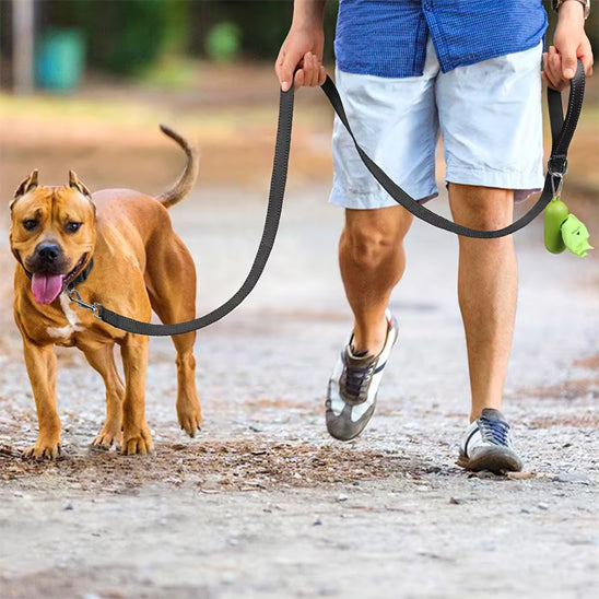 La laisse pour chien - DoggyLeashâą