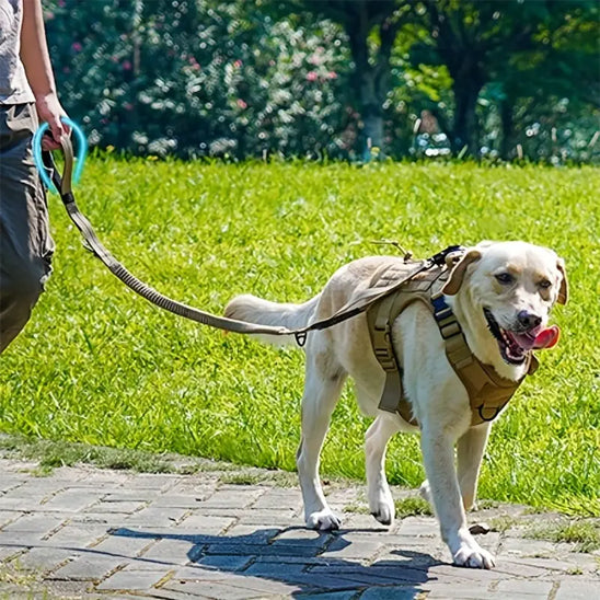 La laisse pour chien - FlexiChienâą