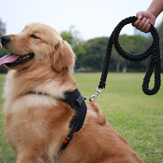 Les laisses pour chiens - FlexiPatte™