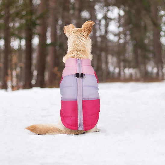 Manteau pour chien - DogCouture™