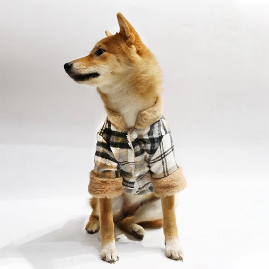 Le manteau pour chien