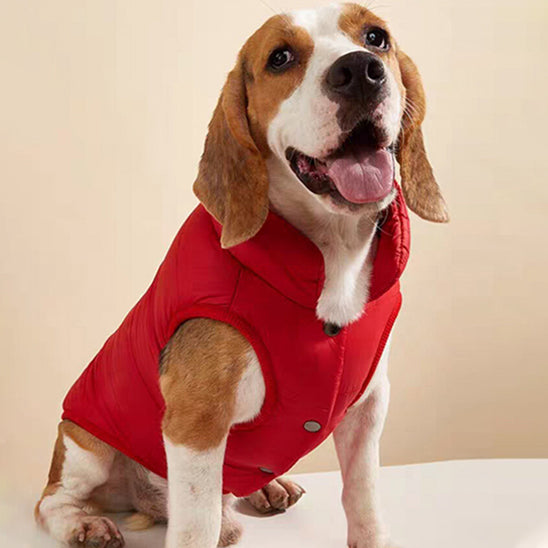 Manteau pour chien - SwagyWoofâą