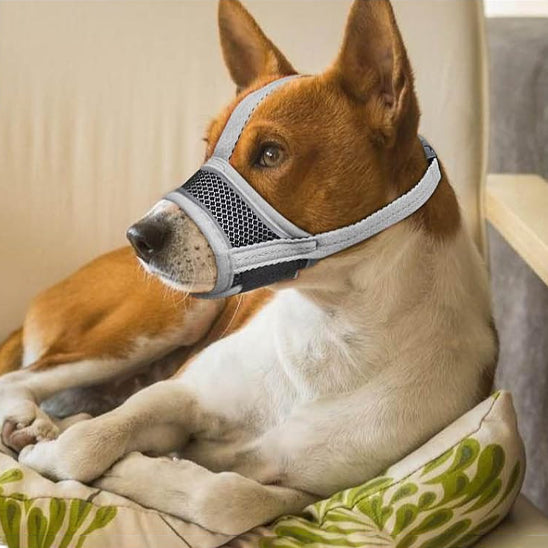 Muselière pour chien - MuzzleGuard™
