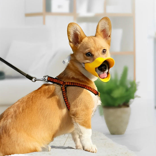 La muselière pour chien - BecGuard™