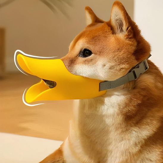 La muselière pour chien - BecGuard™