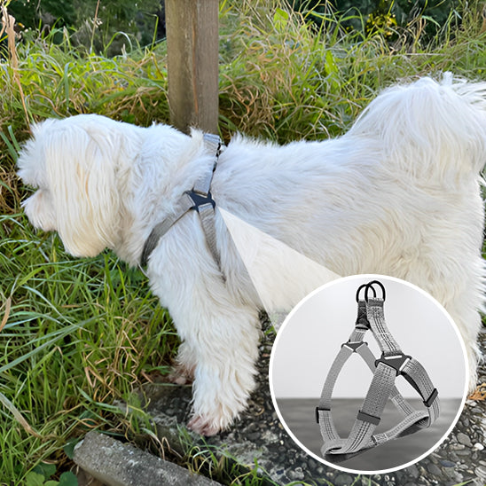 Harnais Anti Traction Chien - PawPower™