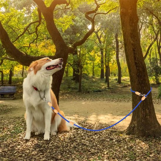 La double laisse pour chien