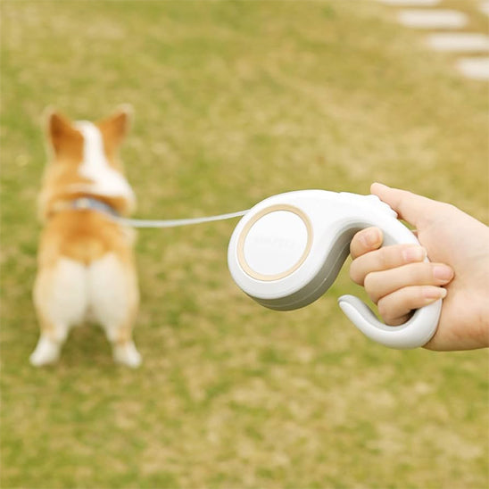 Laisses pour chien - DogRetrac™