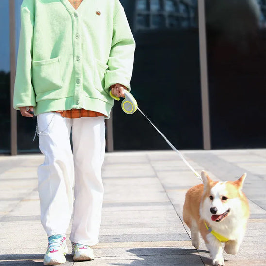 Laisses pour chien - DogRetrac™