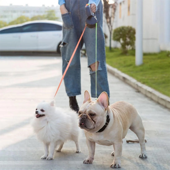 Laisses pour chiens - DuoControl™