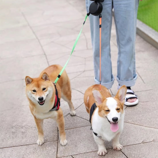 Laisses pour chiens - DuoControl™
