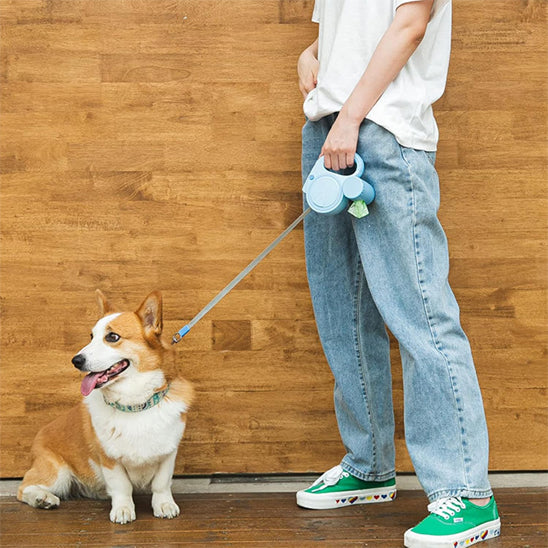 Les laisses pour chiens - FlashLight™