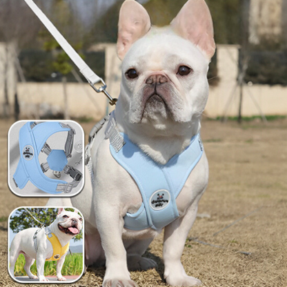 Harnais chien anti traction - FlashyWalk™