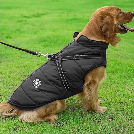 DoggyCoat™ : le manteau pour chien