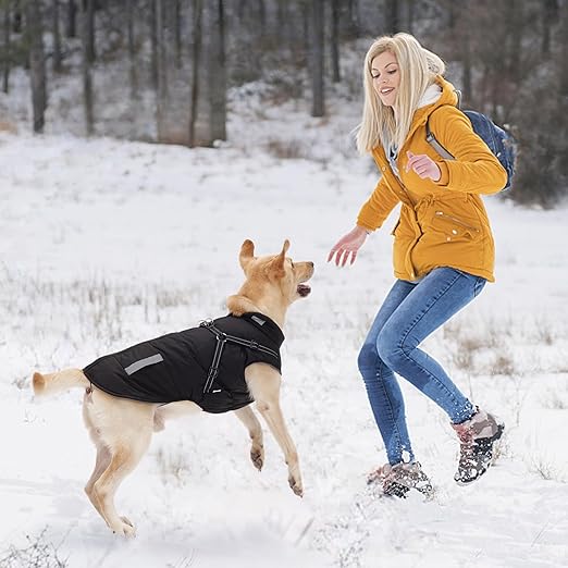 DoggyCoat™ : le manteau pour chien