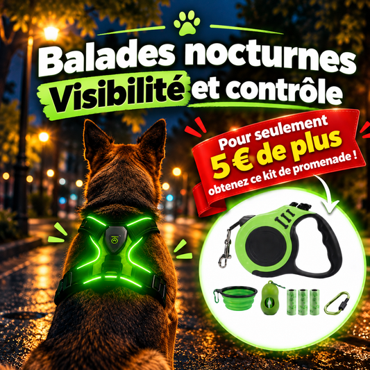 Harnais lumineux | WOUF’LIGHT™