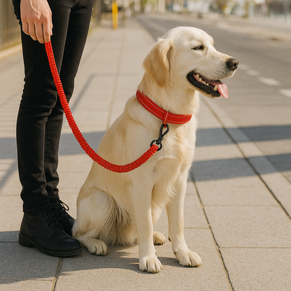 Laisse pour chien - FlashyLeash™