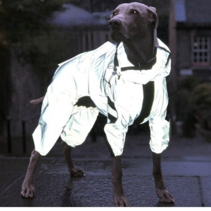 Imperméable pour chien  - SecPromenade™