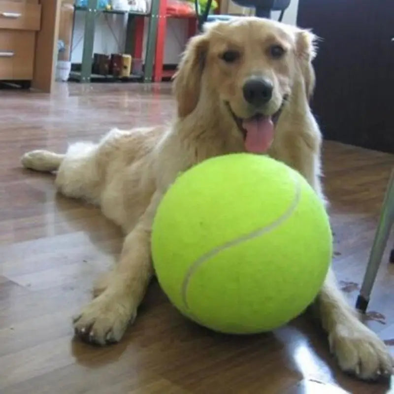 GiantBall™ : La balle pour chien