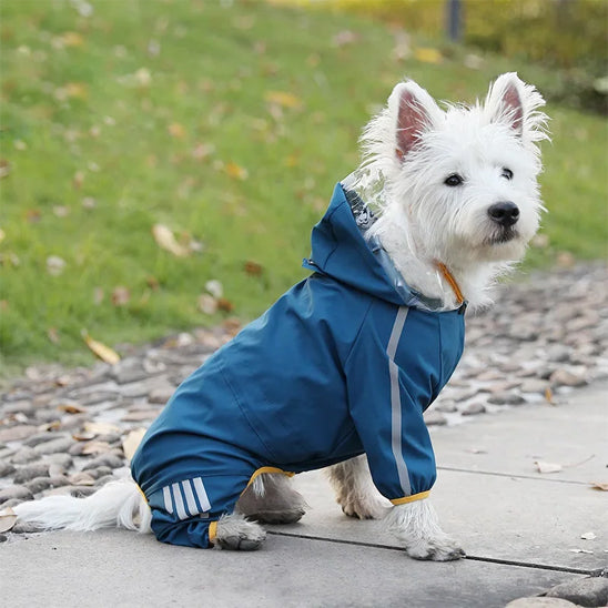 CaniCoat™: Le manteau pour chien