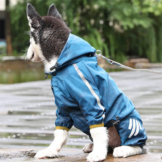 CaniCoat™: Le manteau pour chien