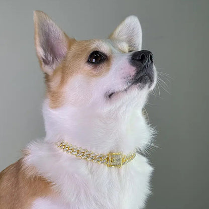 Collier chien - CubainDog™