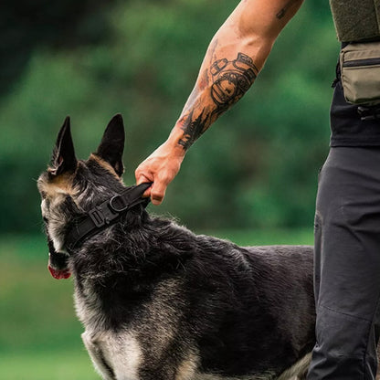 Le collier chien - CollarToutou™