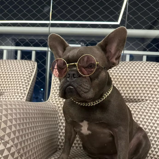 Collier chien - CubainDog™