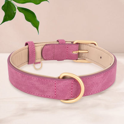 Le collier chien | PatteSafe