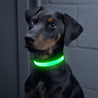 Collier lumineux pour chien - NeckLight™