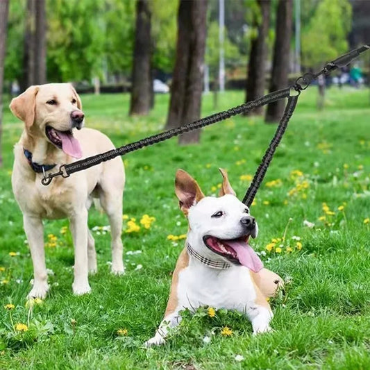 Double laisse pour chien - TwinWalk™