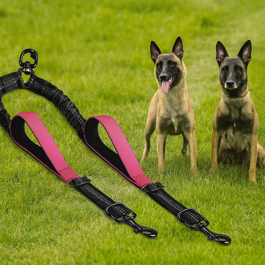 Double laisse pour chien - DoubleDog™