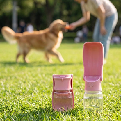 Gourde Chien rose golden retriver en arrière