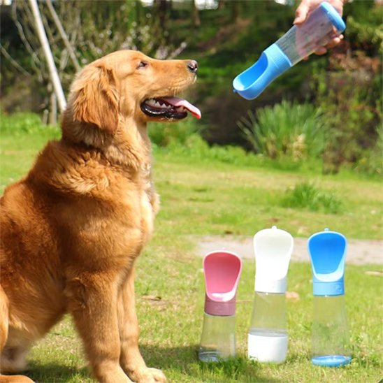 Gourde chien