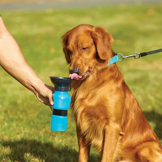 La gourde pour chien - HydraDog™
