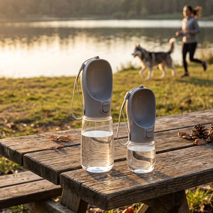 Gourde pour Chien deux gris sur une table