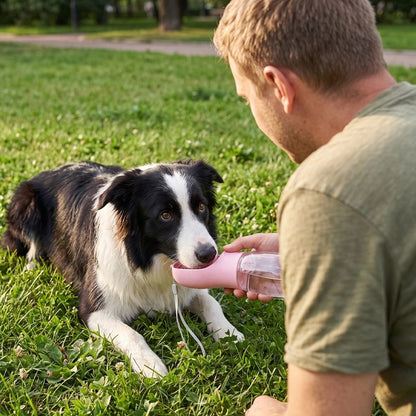 Gourde pour Chien homme qui donne à boire a son chien noir et blanc