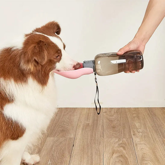 Gourde pour chien - DoggyDrink™