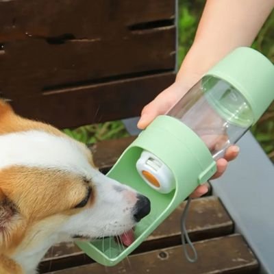 Gourdes pour chien corgi qui boit