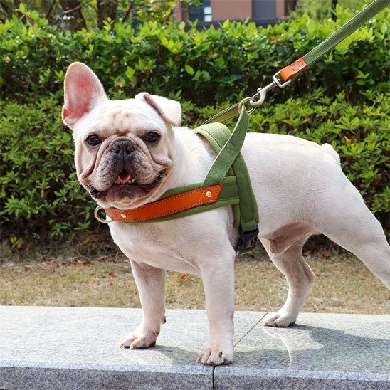 Harnais chien anti traction - PowerWalk™