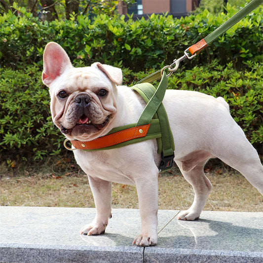 Harnais chien anti traction - PowerWalk™