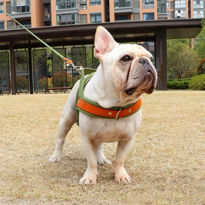 Harnais chien anti traction - PowerWalk™